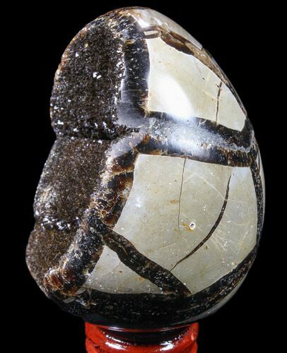 Septarian Dragon Egg Geode - Black Crystals #83207